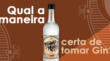 maneira certa de tomar gin