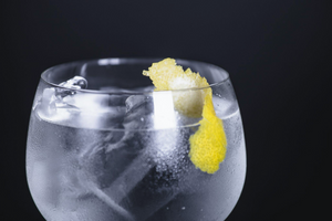 A origem do gin: conheça a história dessa bebida!