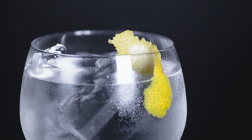 A origem do gin: conheça a história dessa bebida!